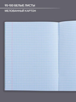 Цена за 4 шт. Тетрадь предметная Коллаж, 48 листов в клетку Алгебра со справочным материалом, обложка мелованный картон, блок офсет - Calligrata фото 4