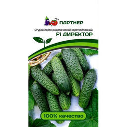 Огурец Директор F1 5шт. (Партнер)