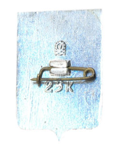 Значок Новосибирск