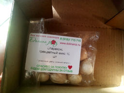 Спараксис трехцветный микс 10 шт