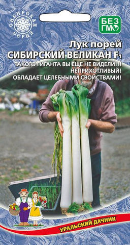 Лук порей СИБИРСКИЙ ВЕЛИКАН F1  Такого гиганта вы ещё не видели! Неприхотливый, с целебными свойствами!
