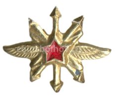 Значок Эмблема Военно воздушные силы техник
