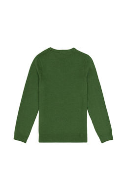 Зеленый базовый свитер для мальчика Неожиданная скидка в корзине - U.s. polo assn фото 2