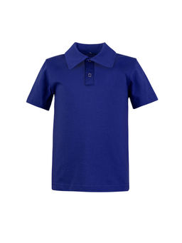 Футболка поло детская василек 659 (104, 56)