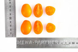 Томат Черри Ля Мур - Партнер фото 5