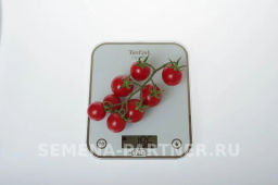 Томат Дирижер - Партнер фото 5