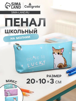 Пенал школьный на молнии Calligrata Котик, 1 отделение, плоский, МИКС