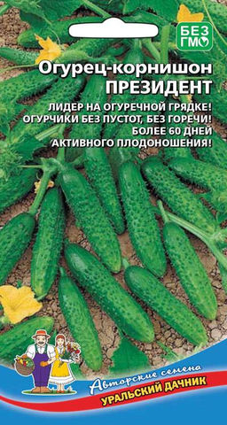 Огурец ПРЕЗИДЕНТ Лидер на огуречной грядке! Огурчики без пустот, без горечи! Более 60 дней активного плодоношения!