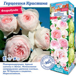 df5a1c84a00c170683f9074f1feccc4cecuw71tn1xma0rg8zs