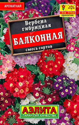 Вербена Балконная, смесь сортов (2028)