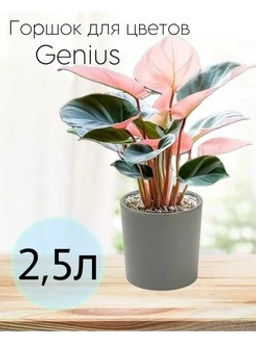 Горшок для цветов 2,5л d157 h156мм серый Genius