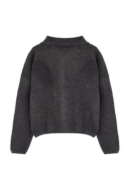 TRENDYOLMILLA Antrasit Super Genis Kal?p Polo Yaka Buklet Triko H?rka TWOAW24HI00177