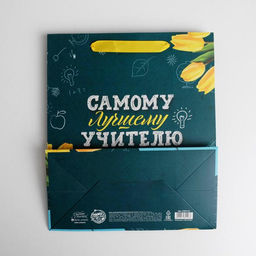 Пакет ламинированный вертикальный Самому Лучшему Учителю, ML 27 23 11,5 см - Дарите счастье фото 4