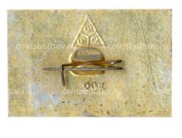 Значок Владимир