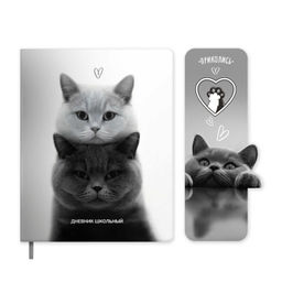 Дневник школьный в комплекте со значком-пином ,формат А5+, 48 л., арт. 72556 / 15 ДВА КОТА