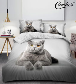 КПБ Candies Future CANFU026 2 спальный