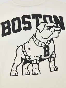 Rahat Kal?p Bisiklet Yaka Bask?l? Erkek ?ocuk Sweatshirt - Waikiki фото 3