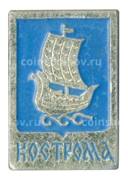 Значок Кострома