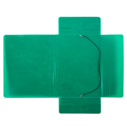 Expert Complete Premier Папка на резинке A4 600 мкм 35 мм волокно 5 шт. зеленый new EC21043003