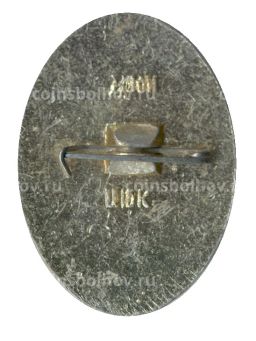 Значок Кусково