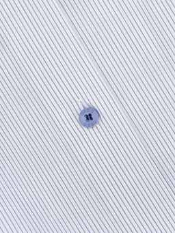 Сорочка мужская длинный рукав GREG 121/231/2232/Z/1p