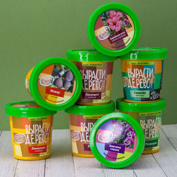 Набор для выращивания "Киви зимостойкое"