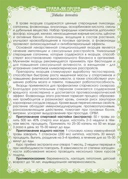 Якорцы стелющиеся (трава) - Мариславна фото 6