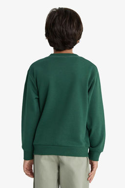 Bisiklet Yaka Bask_l_ Sweatshirt Erkek _ocuk - Defacto фото 6
