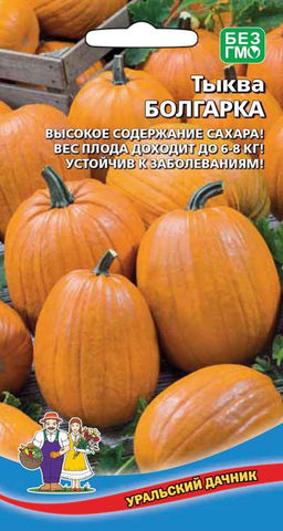 Тыква БОЛГАРКА  Высокое содержание сахара! Масса плода до 6-8 кг! Устойчива к заболеваниям!