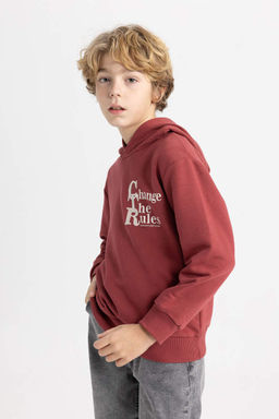 Толстовка с капюшоном и принтом для мальчика - Defacto фото 4