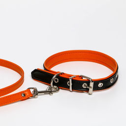 Комплект ошейник (58х2.5 см) и поводок (130х1.4 см) из экокожи, чёрный с оранжевым - Пушистое счастье фото 4