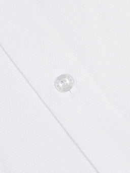 Сорочка мужская длинный рукав GREG 103/239/0011/ZV  фото 2