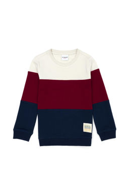 U. S. Polo Assn / Детский темно-синий свитшот с круглым вырезом - U.s. polo assn фото 5