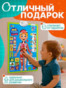 Обучающий плакат «Изучаем анатомию: Моё тело»