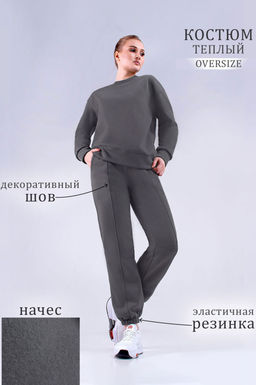 Арт. 2909 Костюм женский с начесом 44-52 Цвет:верх-серый, низ-серый