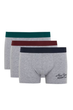 Regular Fit 3lu Boxer