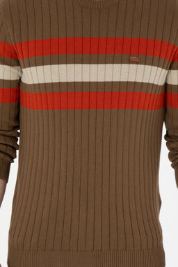 Erkek Slim Fit Bisiklet Yaka Haki Kazak - U.s. polo assn фото 6