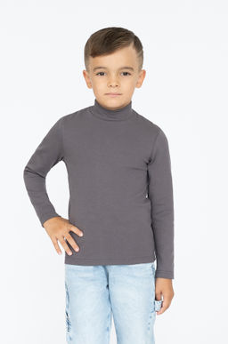 Джемперводолазка серая