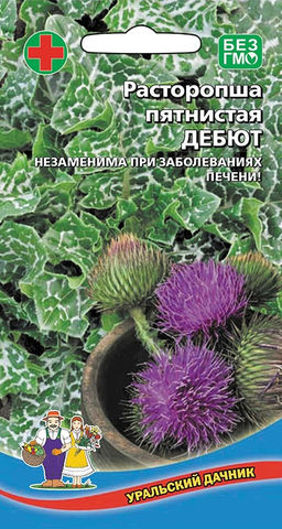 Расторопша ДЕБЮТ Незаменим для печени, используют как овощ, листья и черешки замечательно идут в салат!