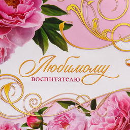 Цена за 2 шт. Пакет подарочный ламинированный, упаковка, Воспитателю, ML 21 х 25 х 8 см