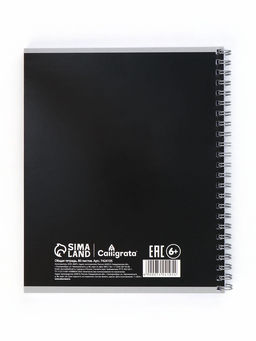 Тетрадь 80 листов, в клетку, на гребне Bear