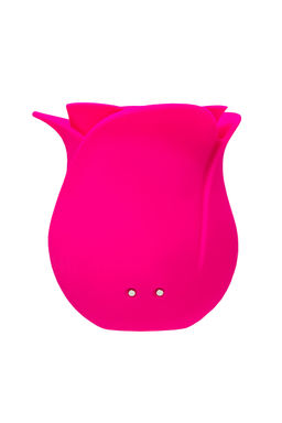 Вакуум-волновой стимулятор клитора Satisfyer Pro 2 Modern Blossom, силикон, розовый, 6,6 см