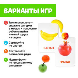 Обучающий набор по методике Г. Домана «Фрукты», 10 карточек, 10 фруктов, счётный материал, 3+, МИКС