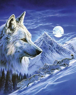 Алмазная мозаика на подрамнике 40х50