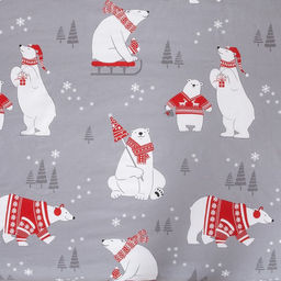 Постельное бельё евро Этель. Зимние игры, поплин