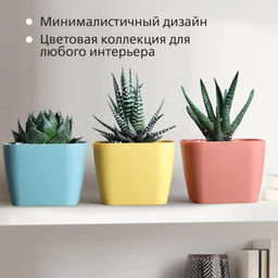 Горшок для суккулентов Фьюжн 0,6л набор 3 шт С378КОЛ - Martika фото 3