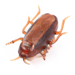 Интерактивная игрушка для кошек Таракан - Пушистое счастье фото 3