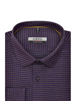 Сорочка мужская длинный рукав GREG S255/231/0951/ZN/1p STRETCH  фото 3