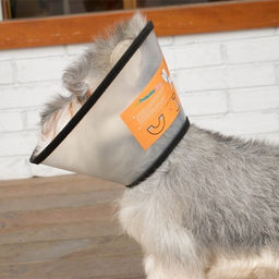 Цена за 4 шт. Воротник ветеринарный на липучках "ЛЮБИМЫЙ БРО", окружность шеи 14-17см, диаметр 30,4см (пакет)