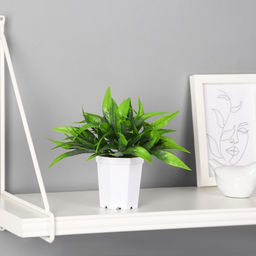 Искусственный цветок в горшке Сансевиерия элегант, 7?13 см, зелёный